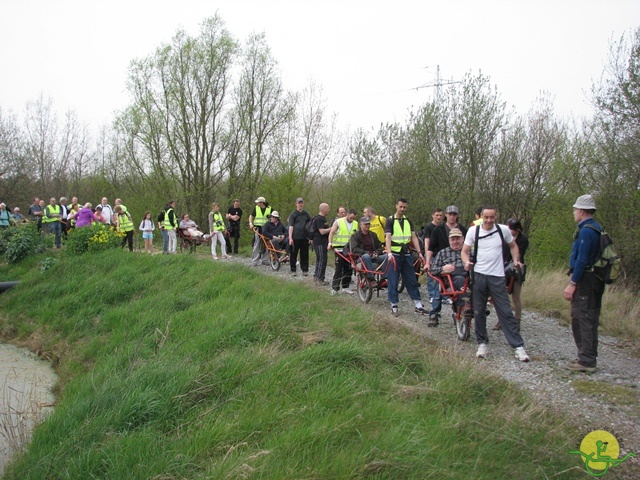 randonnée sportive avec joëlettes, Eghezée, 2014